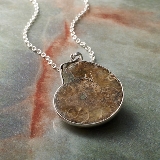 Fossil Shell Pendant by Bead Landing™